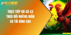 Trực tiếp đá gà C3