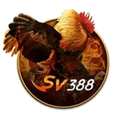 banner-sanh-sv368