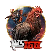 banner-sanh-ws168